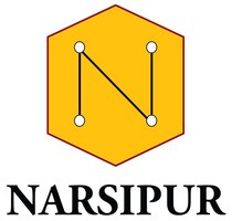 Narsipur